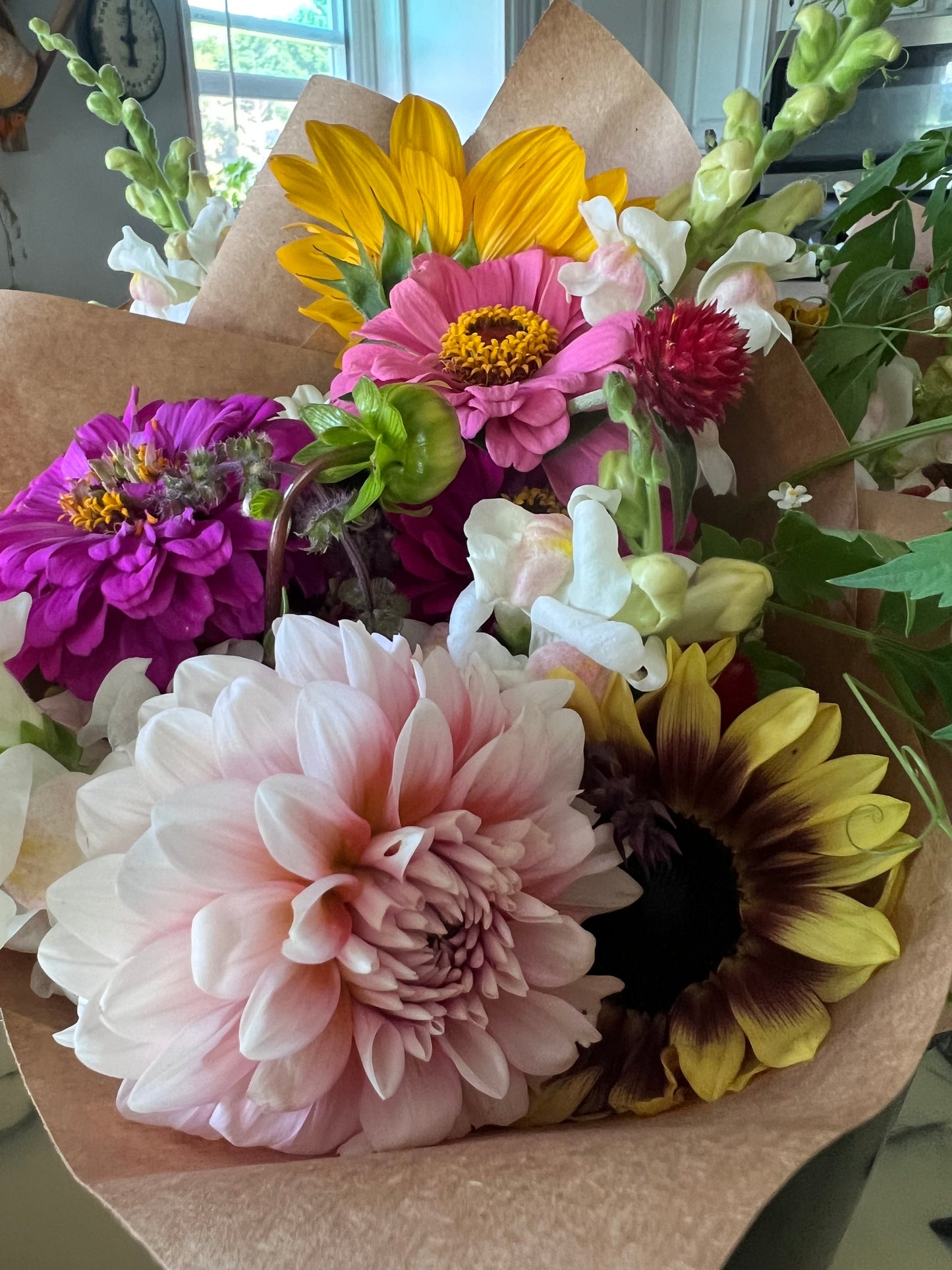 2026 Summer Subscription - Weekly