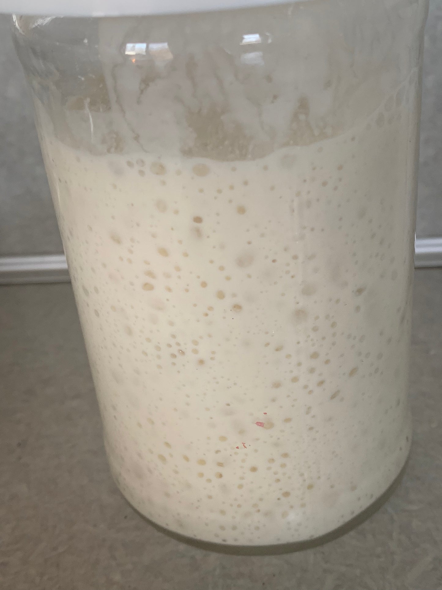 Dehydrated Sourdough Starter