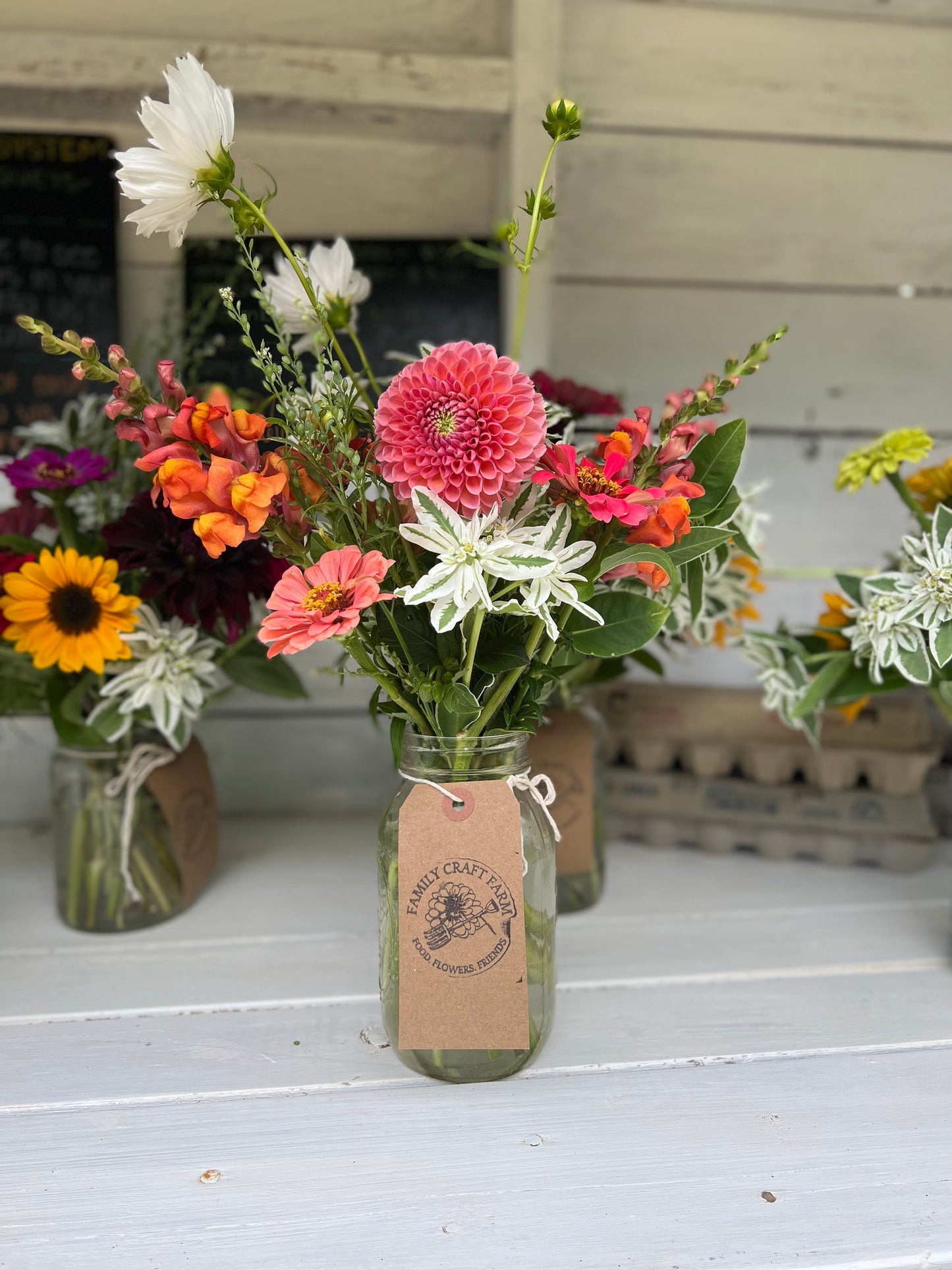 2026 Summer Subscription - Bi-Weekly