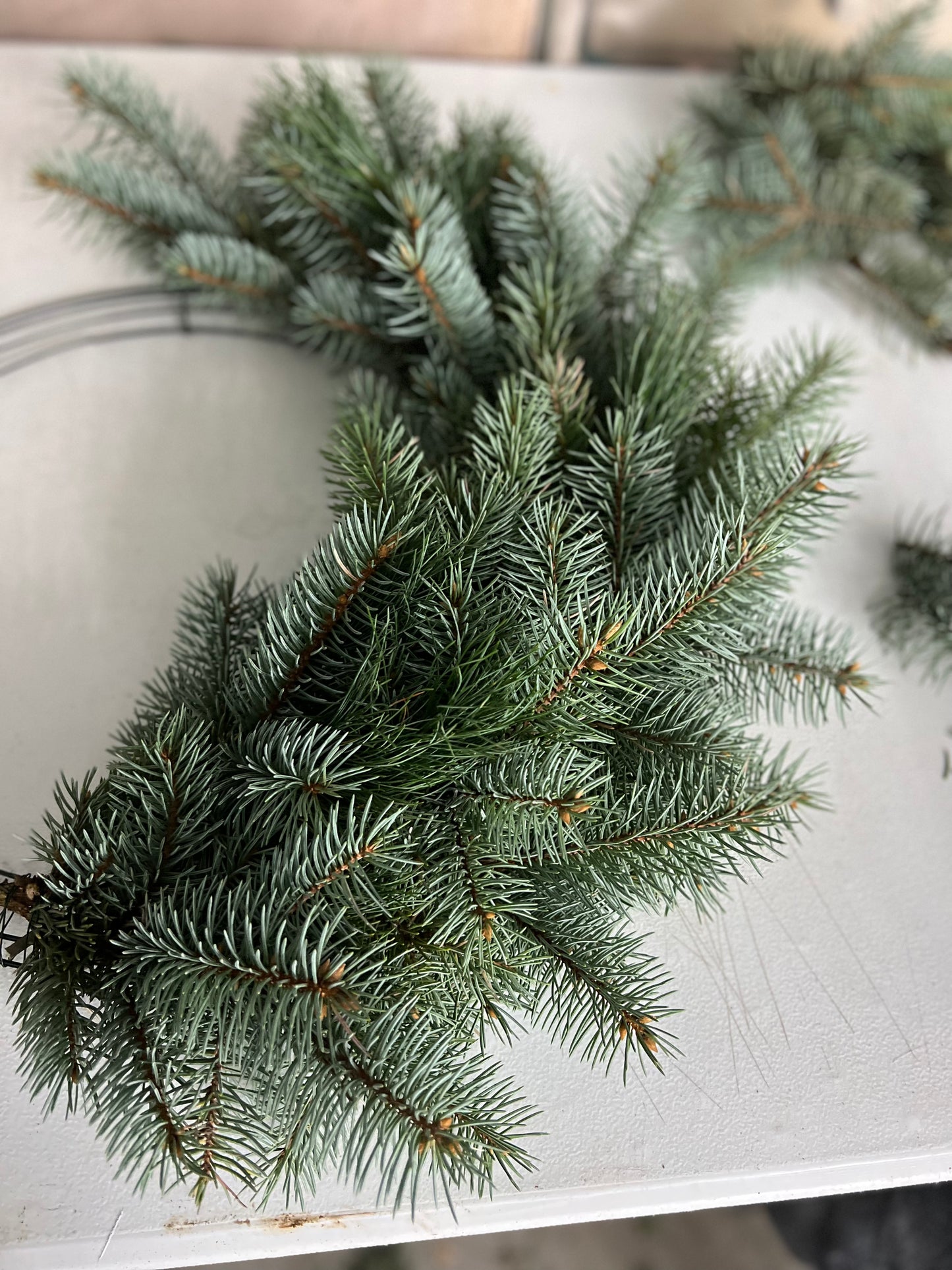 Winter Wreath Workshop